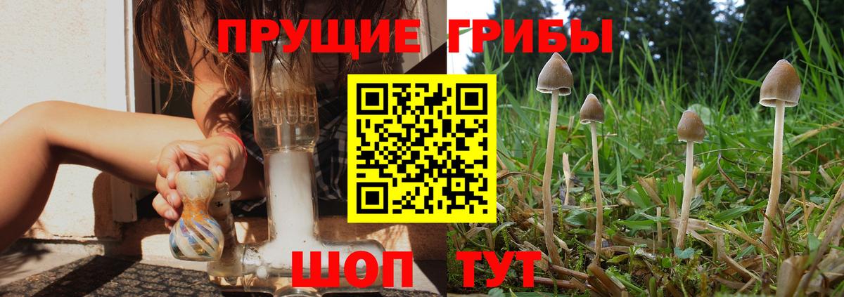 цена   Вход с VPN  Дербент  Галлюциногенные грибы GOLDEN TEACHER 